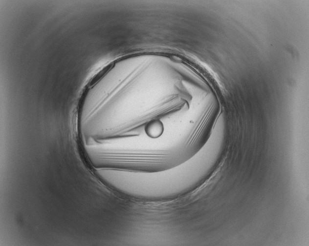 X0000116651365201001041042