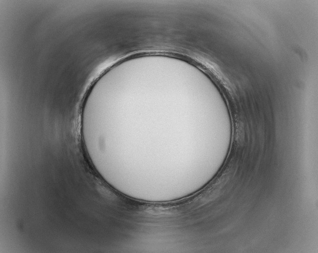 X0000116651366201001041042