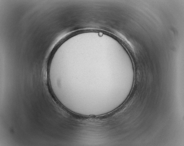 X0000116651368201001041042