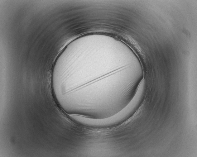 X0000116651369201001041042