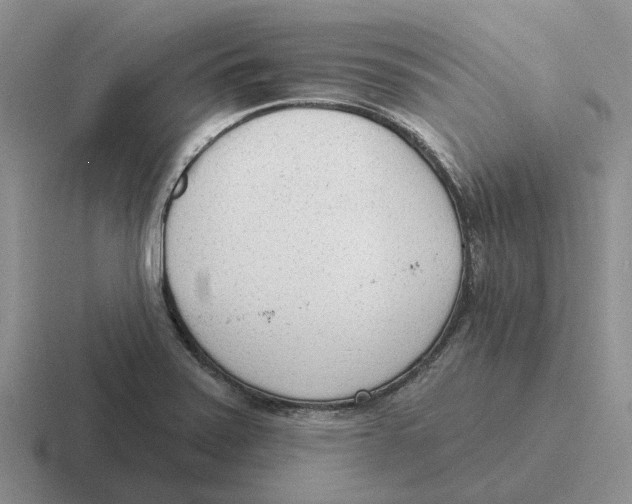 X0000116651371201001041042