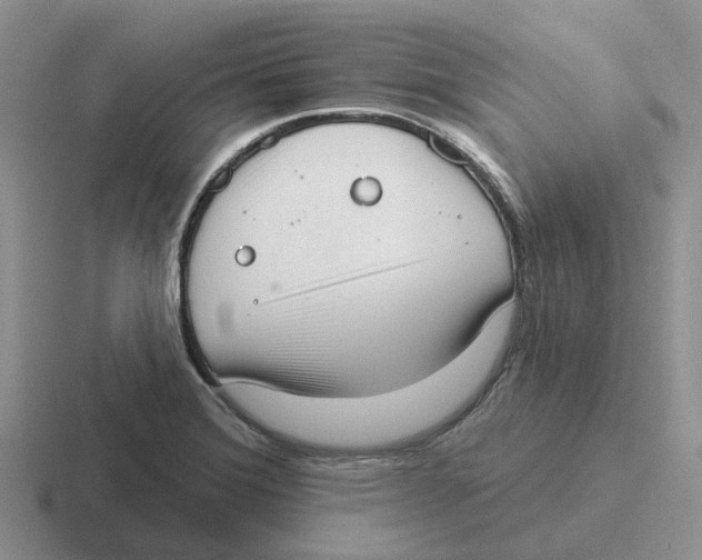 X0000116651372201001041042