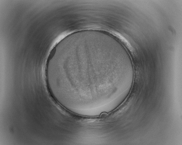 X0000116651373201001041042