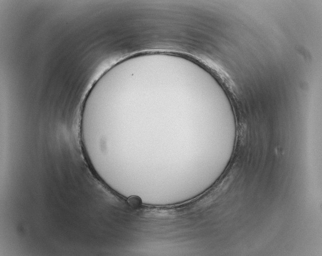 X0000116651374201001041042