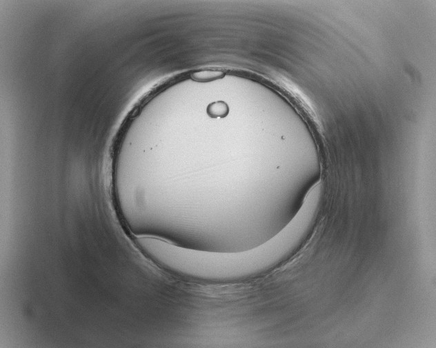 X0000116651376201001041042