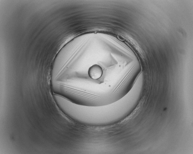 X0000116651377201001041042