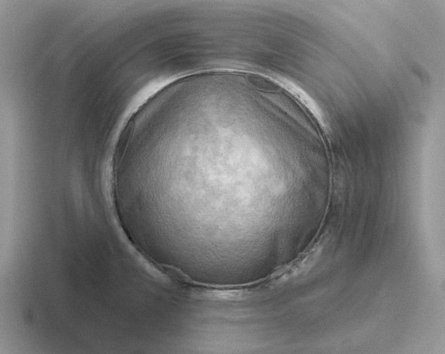 X0000116651381201001041042