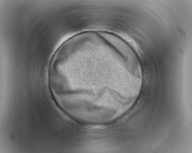 X0000116651382201001041042