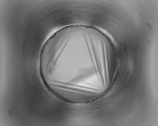 X0000116651383201001041042