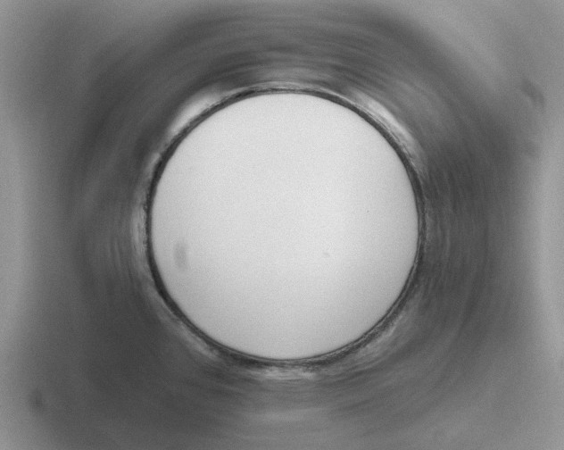 X0000116651384201001041042