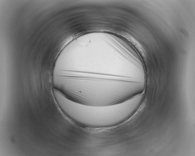 X0000116651385201001041042