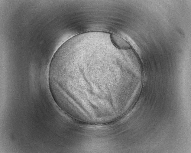 X0000116651386201001041042