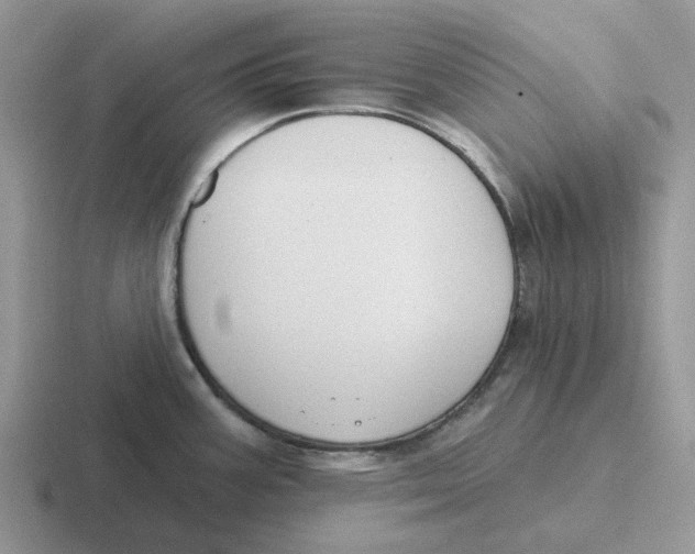 X0000116651387201001041042