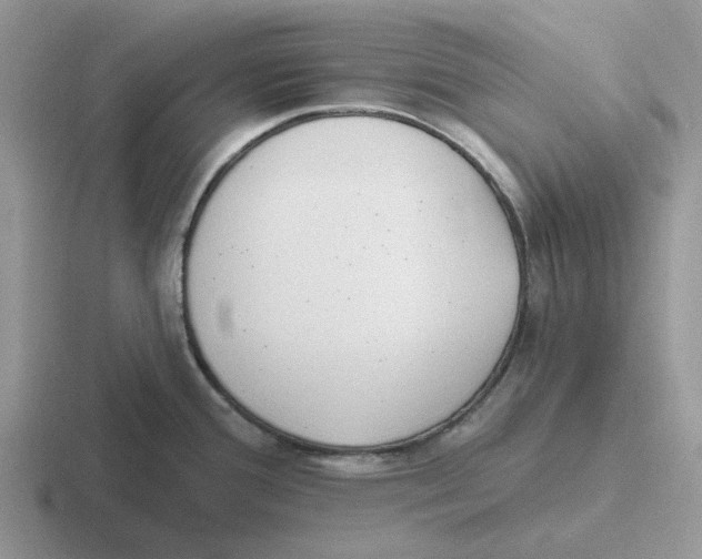 X0000116651388201001041042