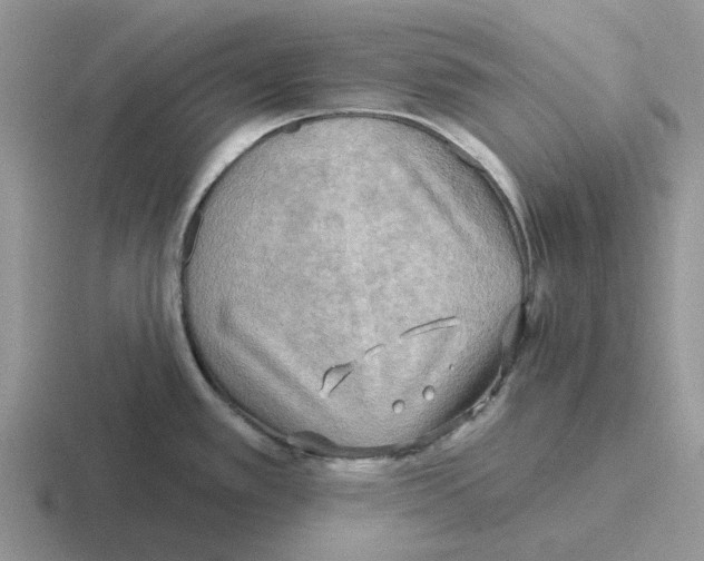 X0000116651389201001041042