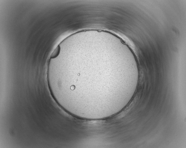 X0000116651390201001041042