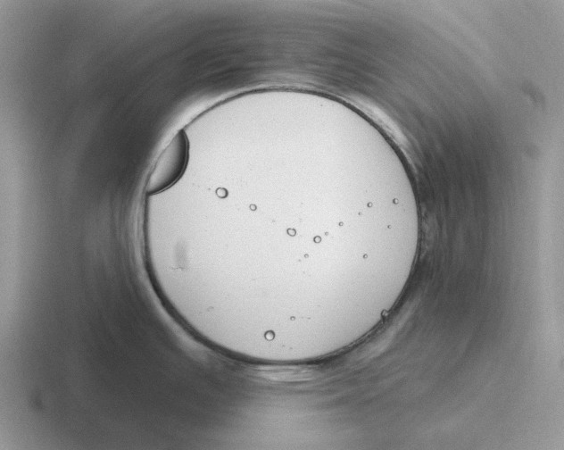 X0000116651391201001041042