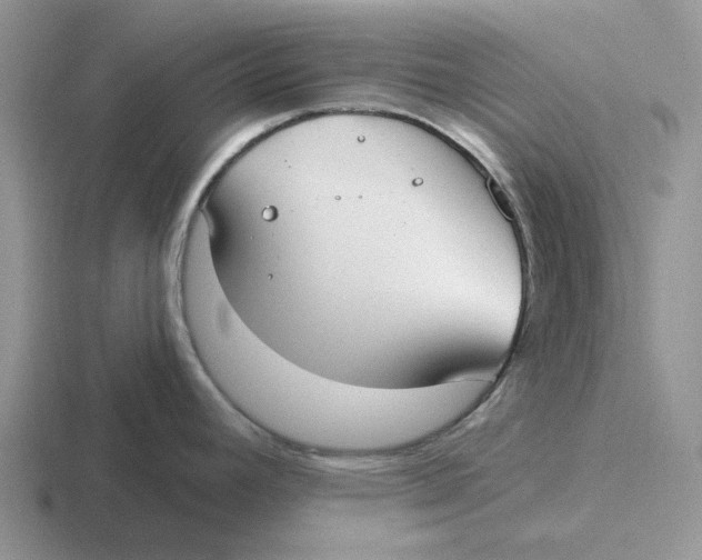 X0000116651392201001041042