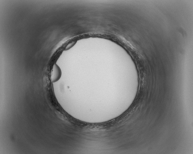 X0000116651400201001041041