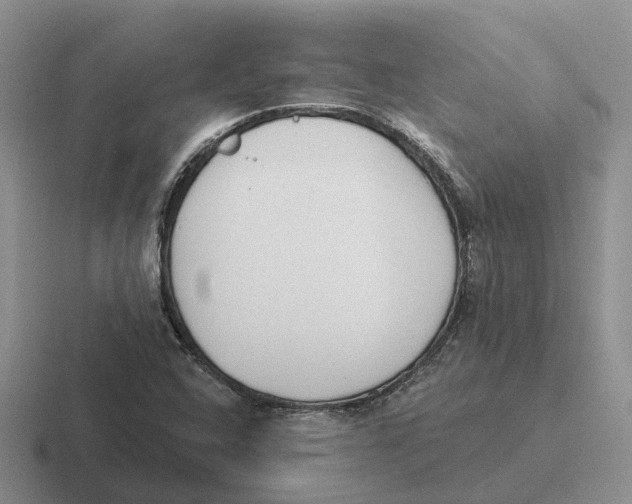 X0000116651408201001041041