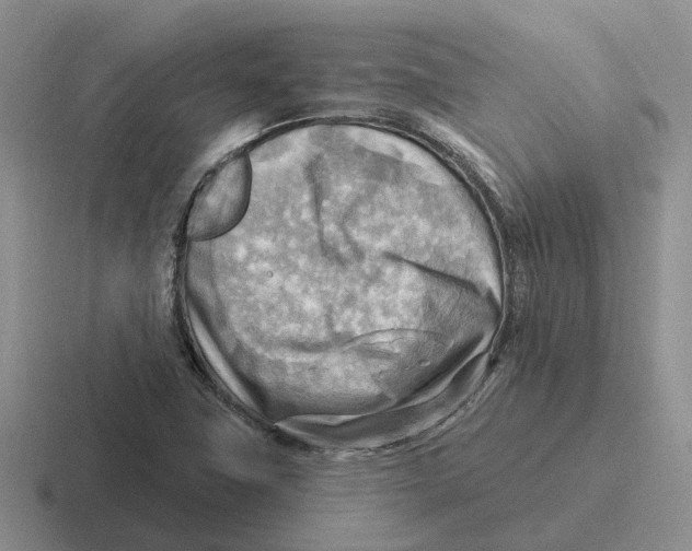 X0000116651411201001041041