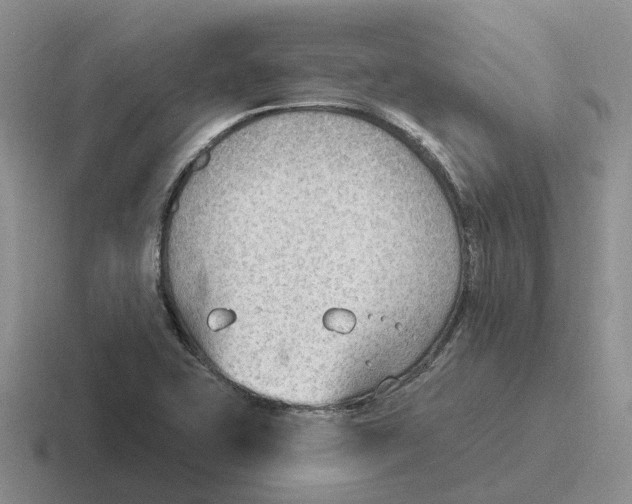 X0000116651415201001041041