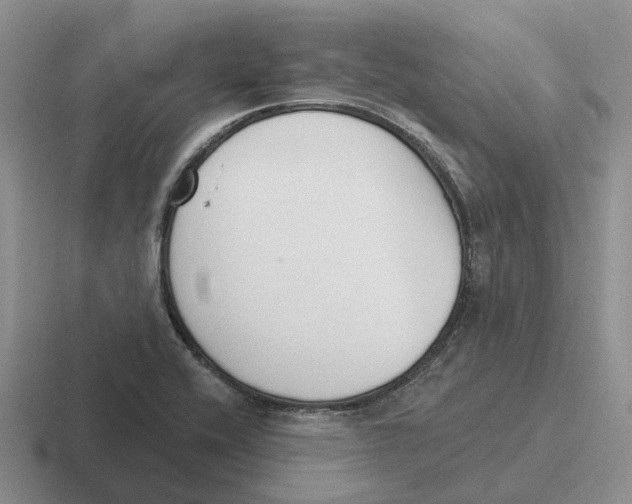 X0000116651416201001041041