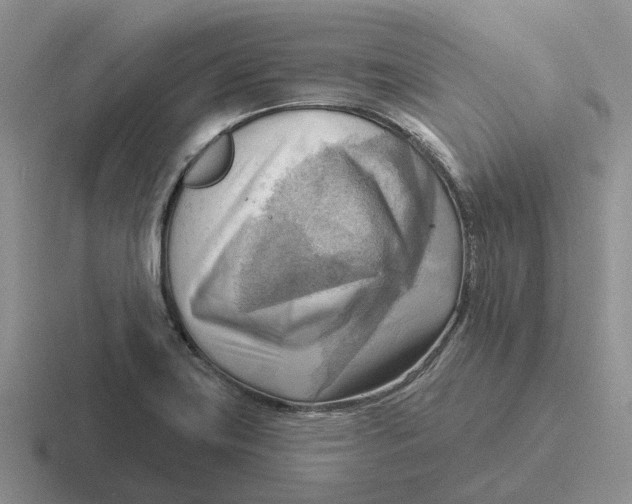 X0000116651419201001041041