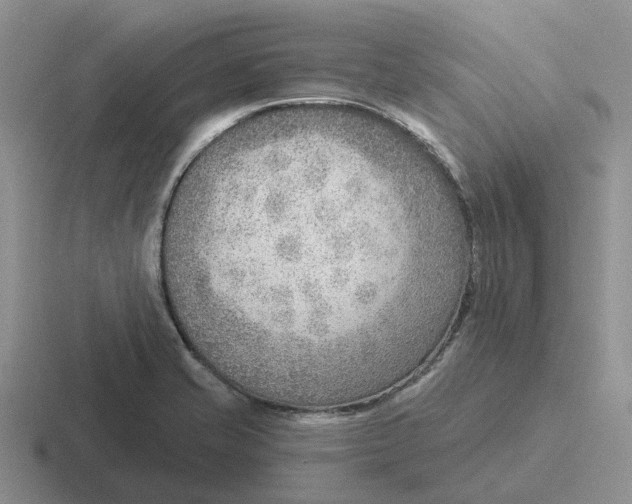 X0000116651421201001041041