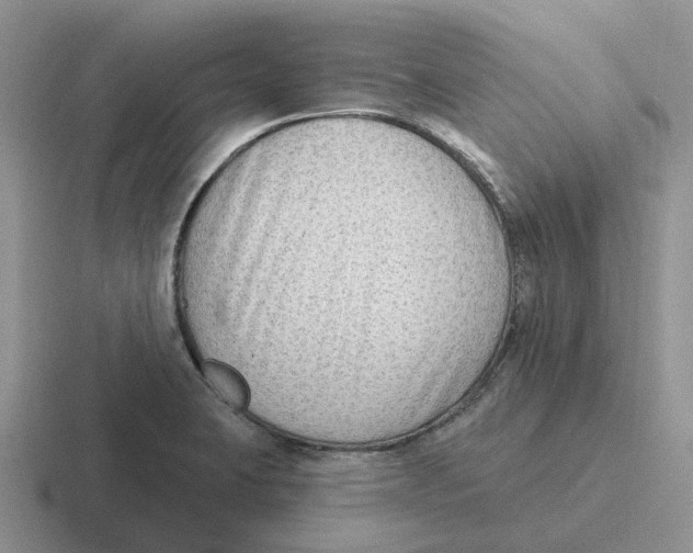 X0000116651423201001041041