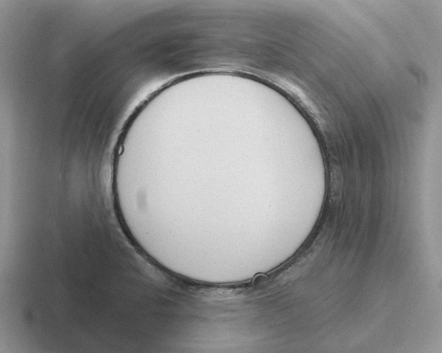 X0000116651424201001041041