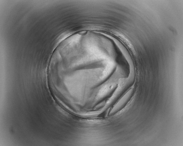 X0000116651425201001041041