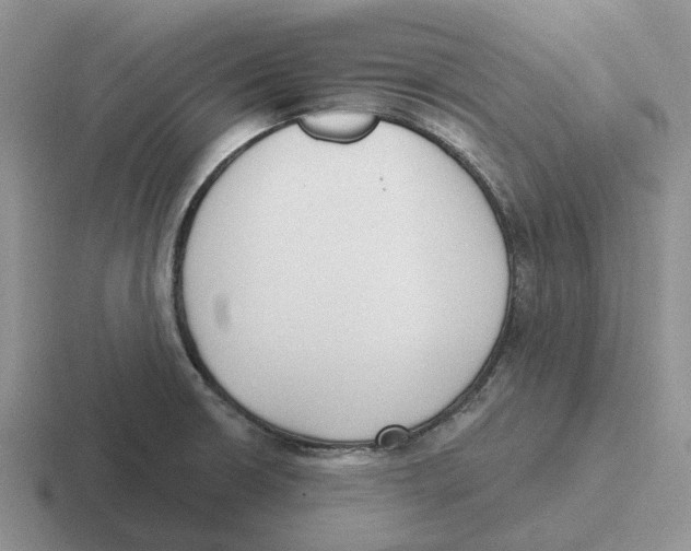 X0000116651426201001041041