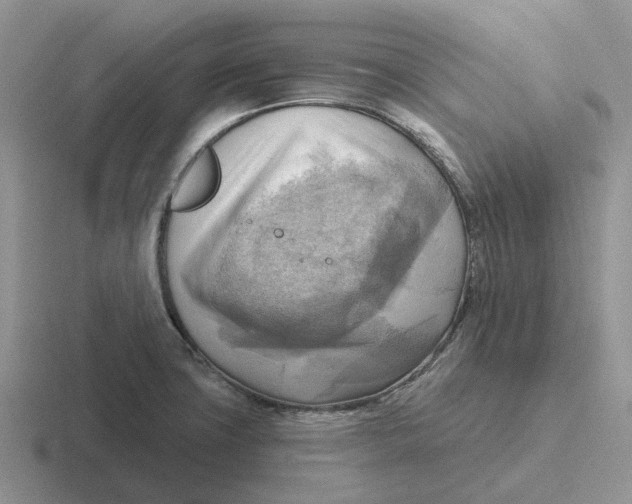 X0000116651427201001041041