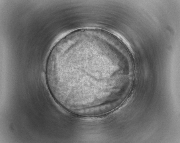 X0000116651429201001041041