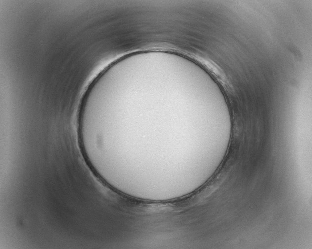 X0000116651430201001041041