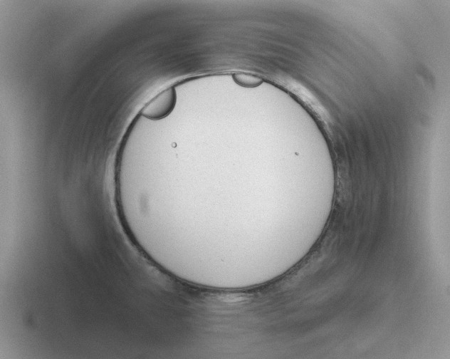 X0000116651431201001041041