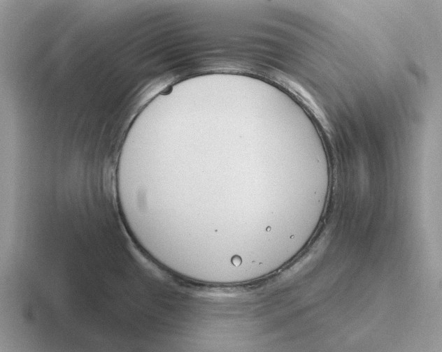 X0000116651433201001041042