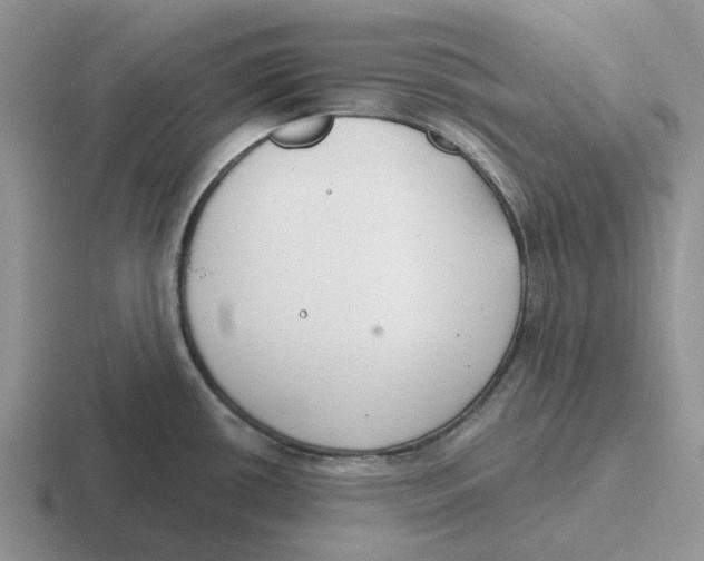 X0000116651434201001041042