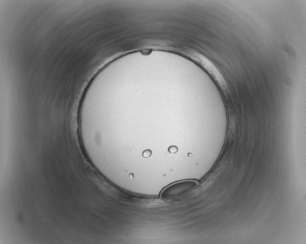 X0000116651435201001041042