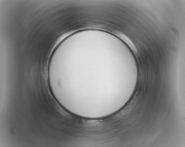 X0000116651436201001041042