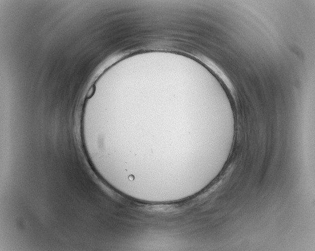 X0000116651437201001041042