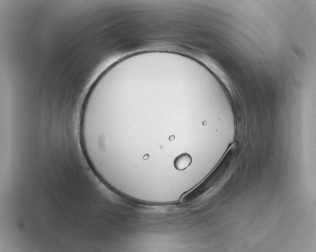 X0000116651438201001041042