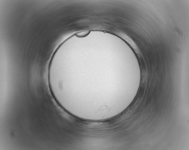 X0000116651439201001041042