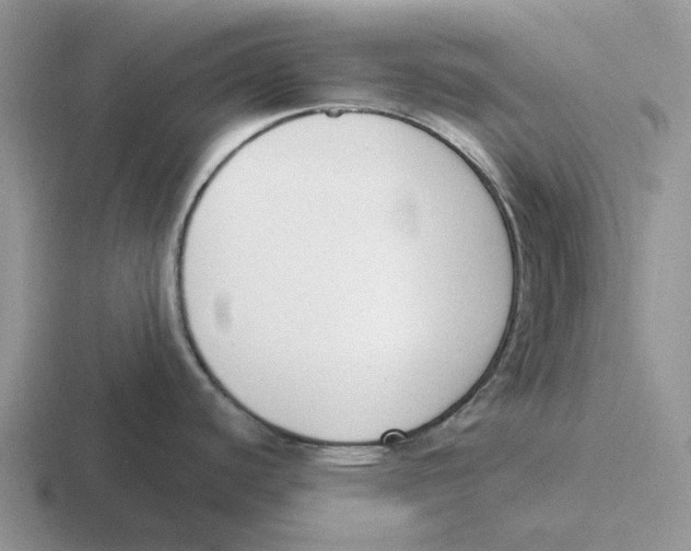 X0000116651440201001041042