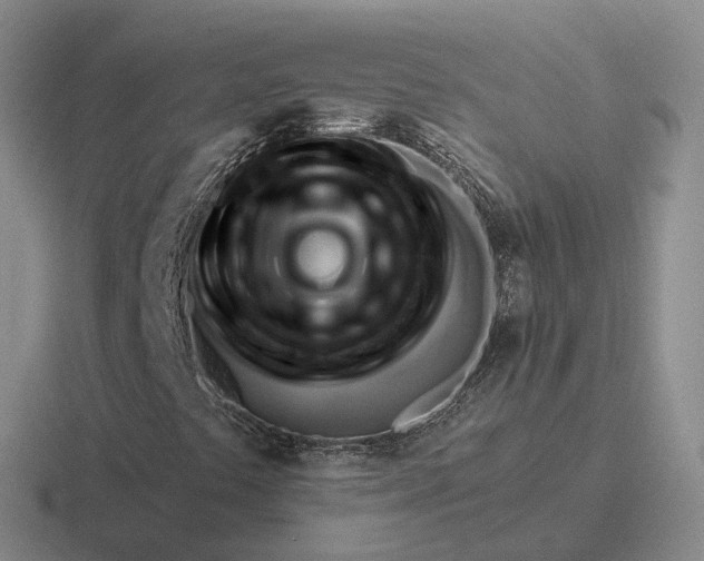 X0000116651441201001041041