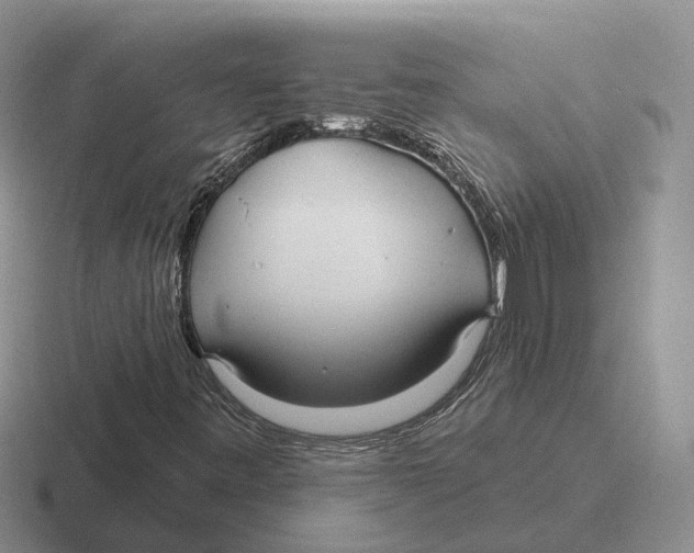 X0000116651443201001041041