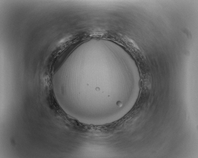 X0000116651445201001041041