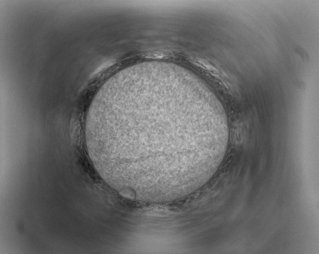 X0000116651446201001041041