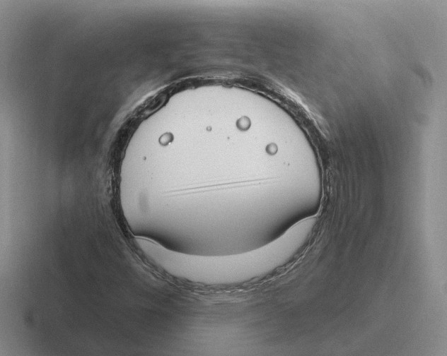 X0000116651448201001041041